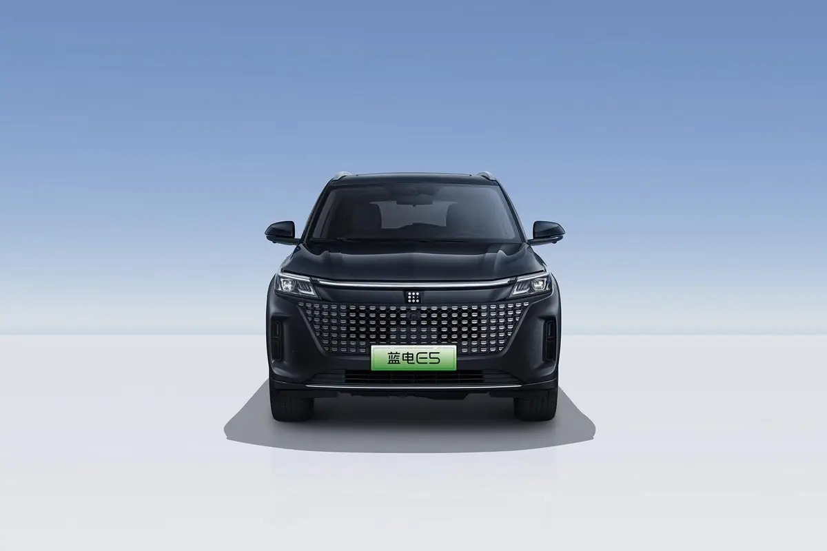 Dongfeng Landian E5 (Донгфенг Ландиан E5) из Китая под заказ — Dongfeng Landian E5: минусы и ограничения