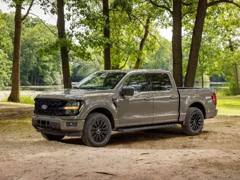Ford F-150 F-150 XL