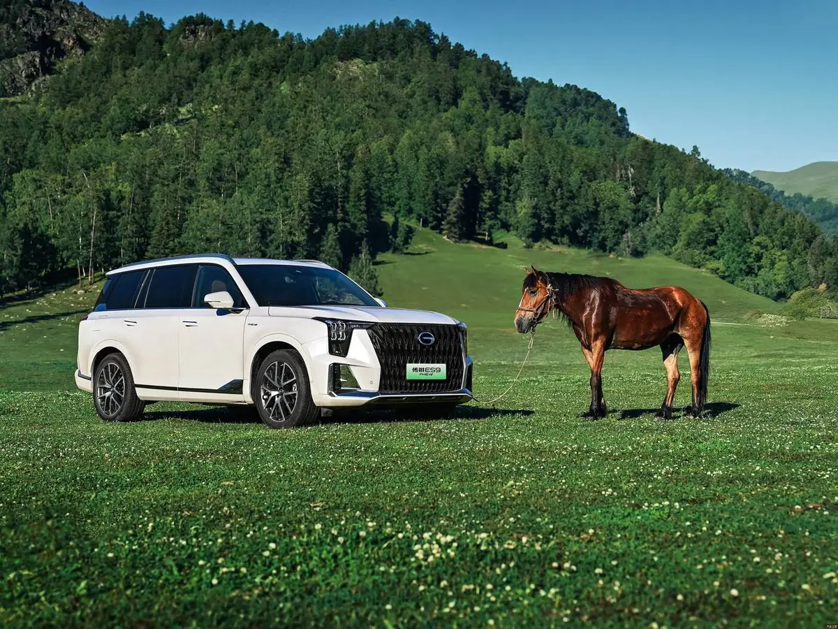 GAC ES9 (ГАК ES9) из Китая под заказ — Зима и ES9: 90–110 км электрохода