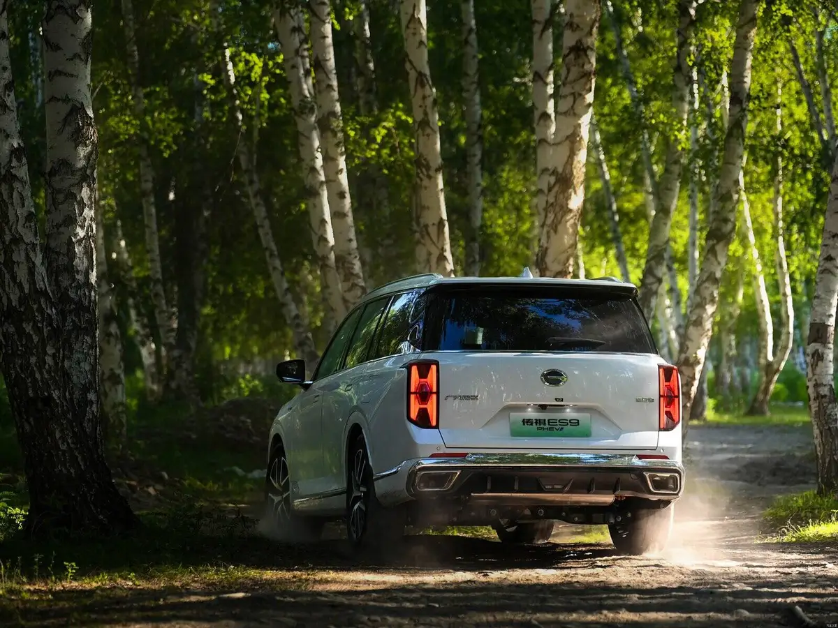 GAC ES9 (ГАК ES9) из Китая под заказ — Сравнение GAC ES9 с BYD Tang и Tiggo 9