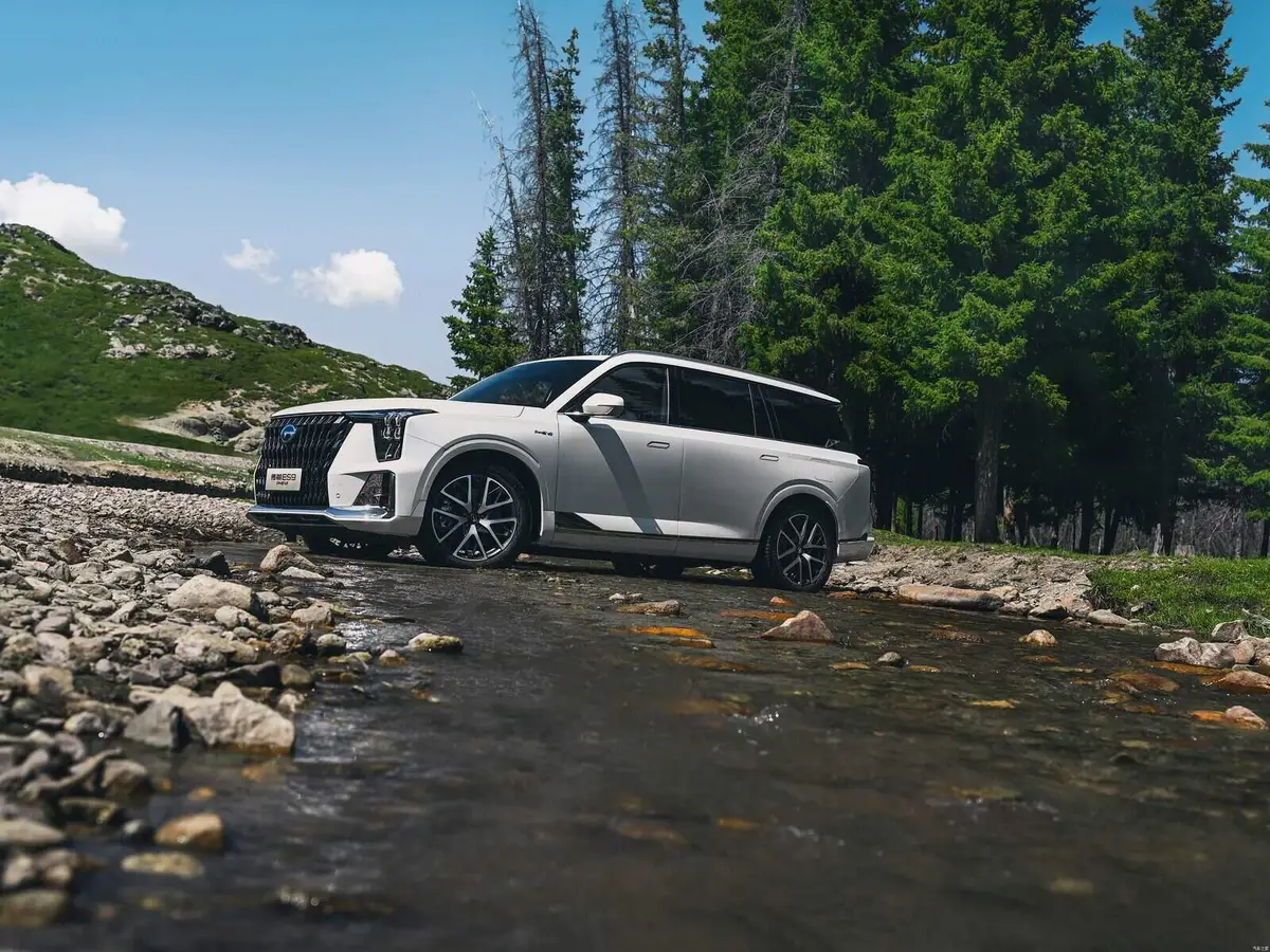 GAC ES9 (ГАК ES9) из Китая под заказ — Документы и учёт GAC ES9