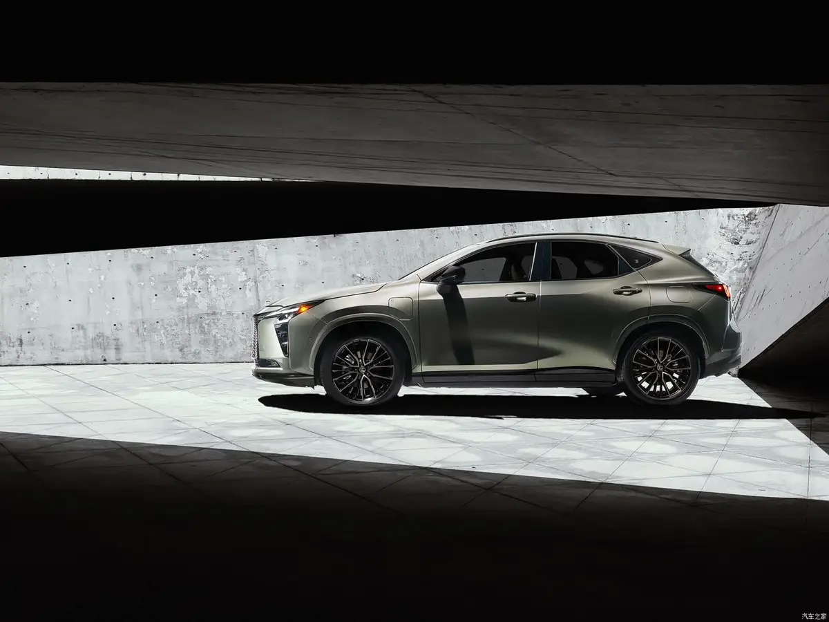 Lexus NX (Лексус NX) из Китая под заказ — Документы, собственник и учёт