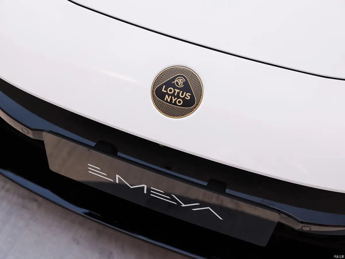 Lotus Emeya (Лотус Емея) из Китая под заказ — Безрамочные двери Emeya с электроприводом