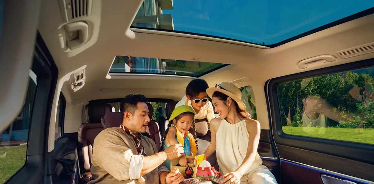 Mercedes-Benz V-Class 300L из Китая под заказ — Дорестайлинговые W447 и переделки на вторичке