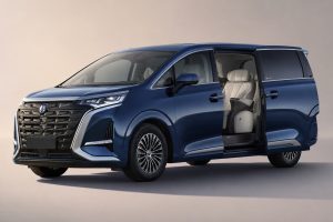 Denza D9 на заказ из Китая