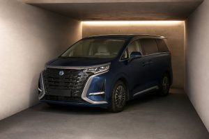 Denza D9 на заказ из Китая