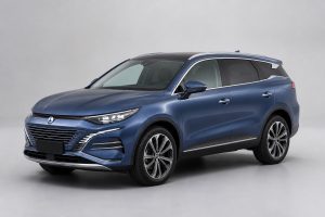 Denza N8 на заказ из Китая