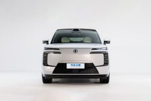 Denza N8L на заказ из Китая
