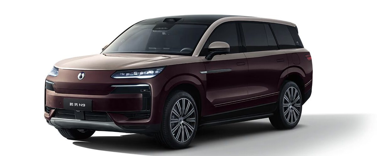 Denza N9 на заказ из Китая