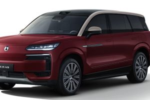 Denza N9 на заказ из Китая