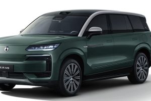 Denza N9 на заказ из Китая