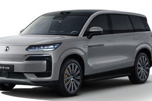 Denza N9 на заказ из Китая