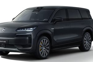 Denza N9 на заказ из Китая