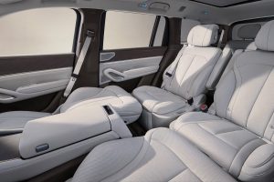 Denza N9 на заказ из Китая