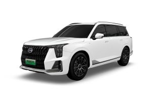 GAC ES9 на заказ из Китая